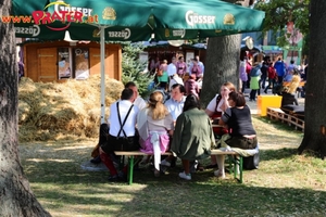 Wiener Wiesn