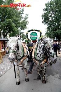 Wiener Wiesn 2017