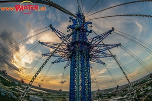 Orlando Starflyer