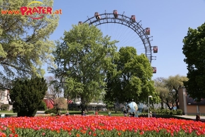 Prater