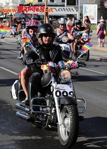 Regenbogen - Parade 2020