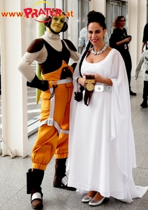 VIECC und VCA 2019