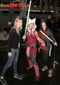 VIECC und VCA 2019