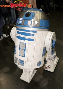 VIECC und VCA 2019