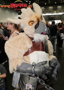 VIECC und VCA 2019