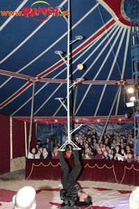 Wintercircus