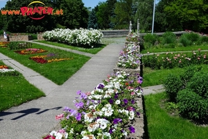 Donauparkbahn - Liliputbahn