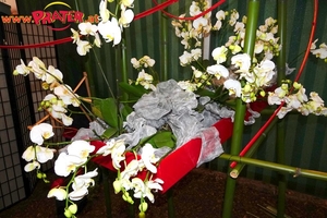 Orchideen-Ausstellung
