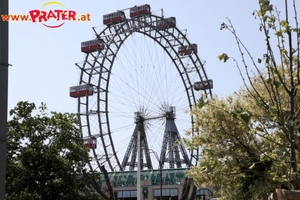 Prater 2019