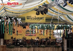 Wiener - Wiese 2019