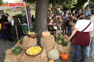 Erntedankfest zum 4. Mal im Wiener Augarten