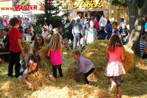 Wiesn-2019