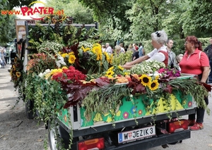 Erntedankfest zum 4. Mal im Wiener Augarten