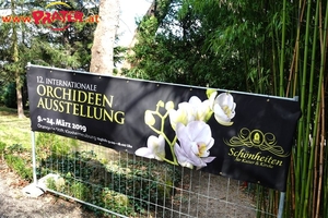 Orchideen-Ausstellung