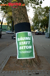 die toten Bäume