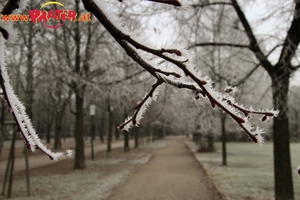 Winter im Prater