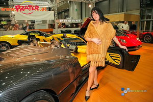 Motorshow by Sauerstein