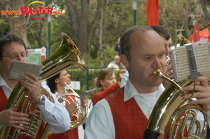 Wienerwald Musikanten