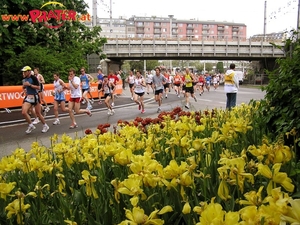 Marathon 2006