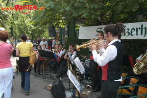 Wienerwald Musikanten