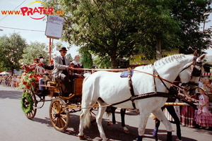 Blumencorso 1999