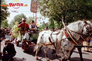 Blumencorso 1999