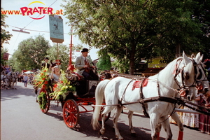 Blumencorso 1999