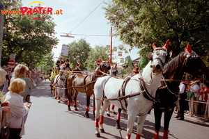 Blumencorso 1999