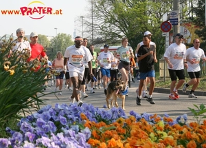 City Marathon 2007