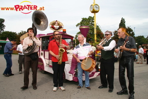 Vienna Dixie Cats