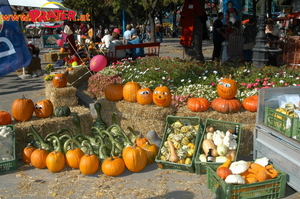 Biobauern Markt