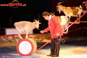Circus Knie Copyright