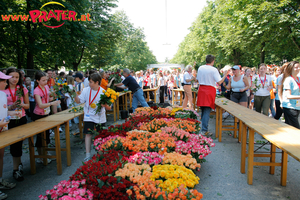 Frauenlauf 2006