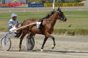 Admiral-Trophy 2007