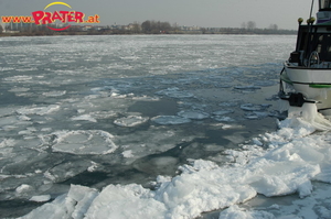 Donau Eis