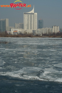 Donau Eis