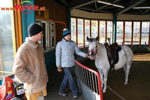 Ponny Reiten