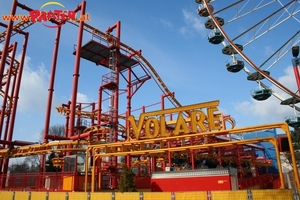 Volare