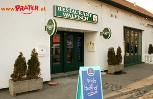 Walfisch