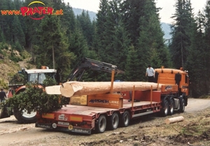 Baumtransport