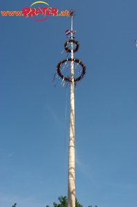 Maibaum 2003